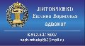 Адвокат Литовченко Евгения Борисовна  в Орске